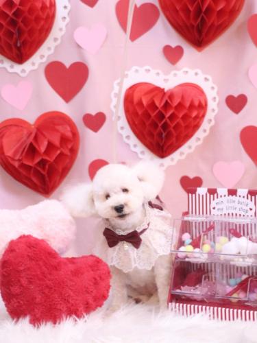 20240229あんちゃん